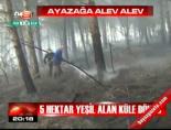 5 hektar yeşil alan küle döndü