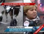 protez bacak - Maya'ya Protez Ayak Videosu