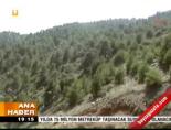 Amanos Dağları'nda operasyon Haberi  online video izle