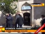 Otobüste yankesici var! online video izle