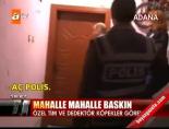 polis baskini - Adana'da mahalle mahalle baskın Videosu