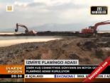 kus cenneti - İzmir'e flamingo adası Videosu