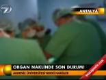 organ nakli - Organ naklinde son durum! Videosu