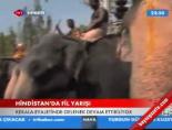 hindistan - Hindistan'da Fil Yarışı Videosu