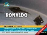 Bir batında 11 yavru