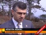 İstanbul kadar nadide çiçek!