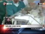 'Oğlum Cani Değil'