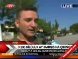 Dikkat... Ayı Çıkabilir