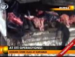 At eti operasyonu