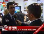 At Fuarı