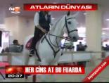 Her cins at bu fuarda online video izle