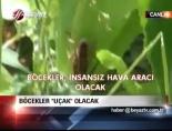 Böcekler 'Uçak' Olacak