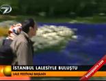 İstanbul lalesiyle buluştu online video izle