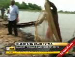 nijerya - Nijerya'da balık tutma Videosu