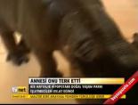 Annesi onu terketti