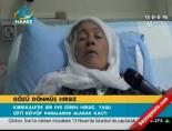 Gözü dönmüş hırsız