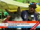 Ulaşımda eşeK dönemi