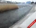 japonya - Japonya Tsunami Felaketi Videosu
