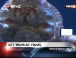 İşte 'Örümcek' Yengeç