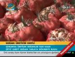 Soğan üreticisi dertli