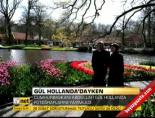 hollanda - Gül Hollanda'dayken Videosu