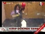 Kırıp dökmek serbest