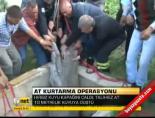 At kurtarma operasyonu