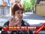 Adalar'da 'tırtıl' kabusu