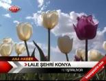 Lale Şehri Konya
