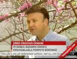 erguvan - Şimdi Erguvan zamanı Videosu