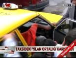 ticari taksi - Taksideki yılan ortalığı karıştırdı Videosu