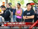 Dikkat ayı düşebilir!