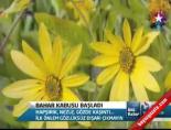 bahar havasi - Bahar Kabusu Başladı Videosu