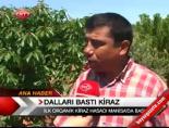 sancakli - Dalları Bastı Kiraz Videosu