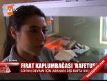 firat kaplumbagasi - Fırat kaplumbağası 'Rafetus' Videosu