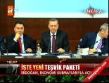 dogu anadolu - İşte yeni teşvik paketi Videosu