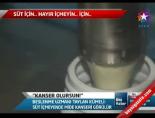 sut tartismasi - Süt Tartışması Videosu