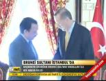 altin kaplama - Brunei Sultanı İstanbul'da Videosu