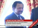 altin kaplama - Brunei Sultanı Türkiye'de Videosu