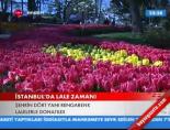 İstanbul'da Lale Zamanı