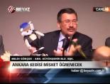 ankara kedisi - Ankara Kedisi  Misket Öğrenecek Videosu