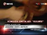 Gözlerini Simite Diktiler