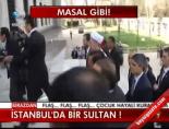 İstanbul'da Bir Sultan! online video izle