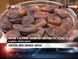 Kayısı Her Derde Deva