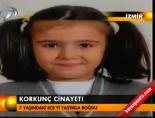 Korkunç cinayet! online video izle