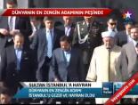 Sultan İstanbul'a Hayran online video izle