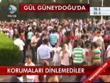Gül Güneydoğu'da