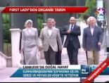 cankaya kosku - Çankaya'da Doğal Hayat Videosu