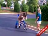 Norman İsimli Köpek Bisiklet Sürüyor