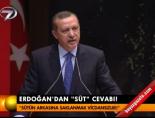 Erdoğan'dan süt cevabı online video izle